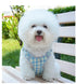 Escape Proof harnesses for Kitten and Puppy